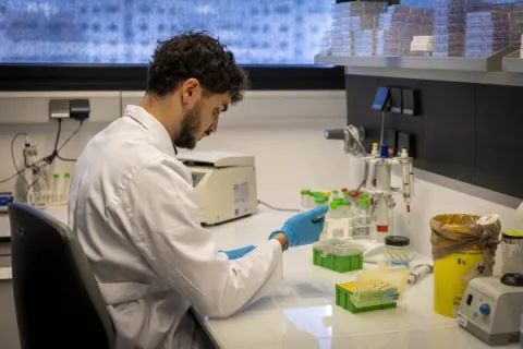 Imagen de la noticia: La Diputación de Córdoba financia 14 becas de investigación en el IMIBIC
