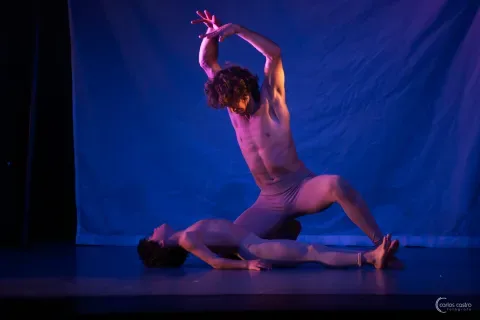 Homo Faber