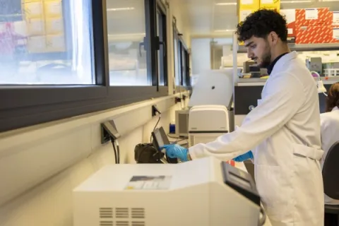 Imagen de la noticia: La Diputación de Córdoba financia 14 becas de investigación en el IMIBIC