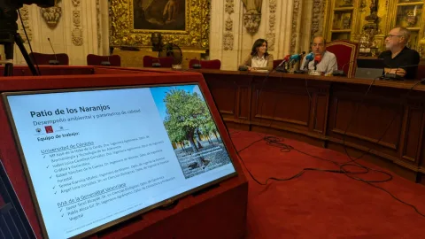 Imagen de la noticia: Un estudio revela que el Patio de los Naranjos almacena más de 98 toneladas de CO₂