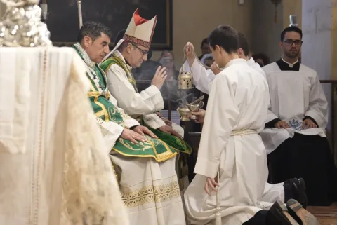 Imagen de la noticia: El obispo de Córdoba preside en Castro del Río la misa de la Peregrinación de la Vera Cruz