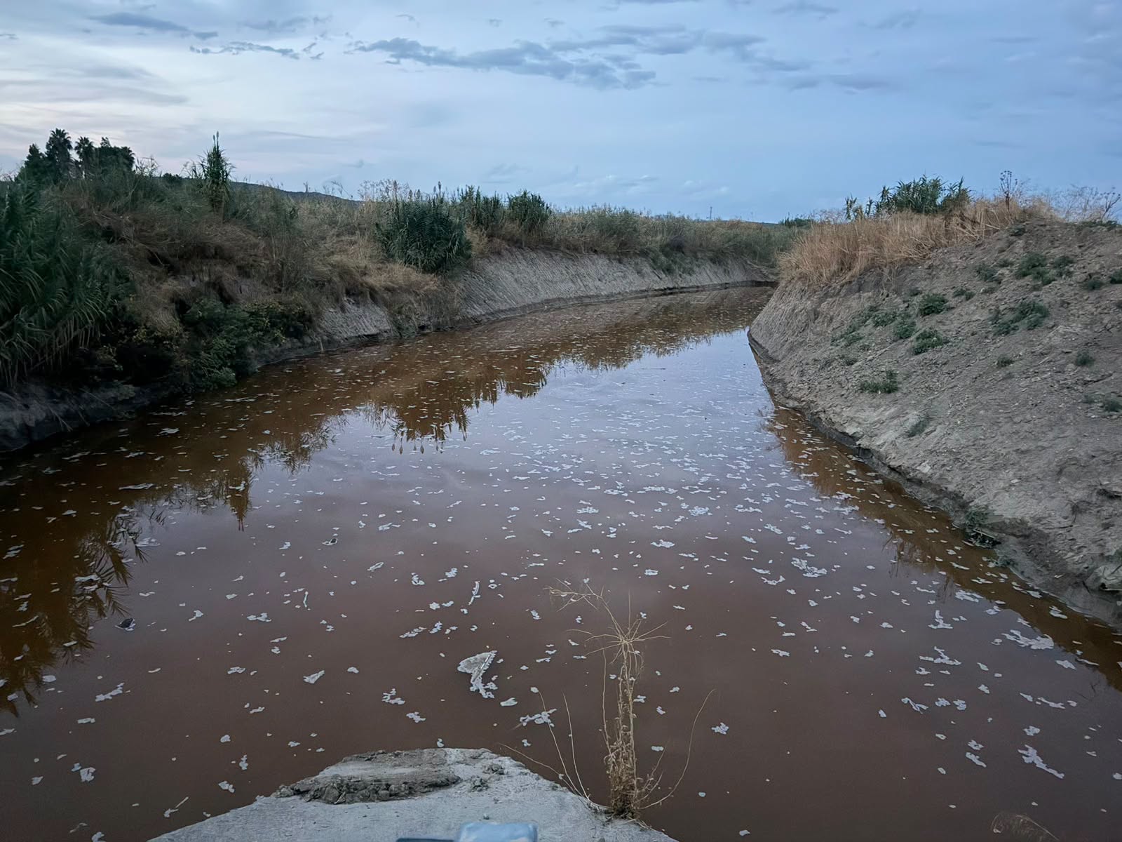 Imagen de la noticia: Villa del Río reclama a la Confederación del Guadalquivir que limpie el arroyo Cañetejo