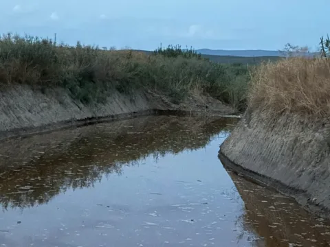 Imagen de la noticia: Villa del Río reclama a la Confederación del Guadalquivir que limpie el arroyo Cañetejo