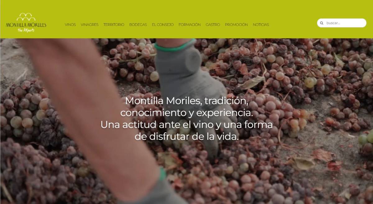 Imagen de la noticia: Montilla será Ciudad Española del Vino en 2027