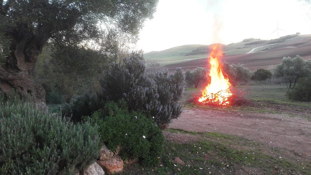 Imagen de la noticia: Las quemas agrícolas y forestales ya solo exigen una declaración responsable
