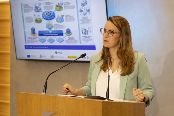 Imagen de la noticia: La Diputación destina 6 millones a digitalizar la provincia y frenar la despoblación