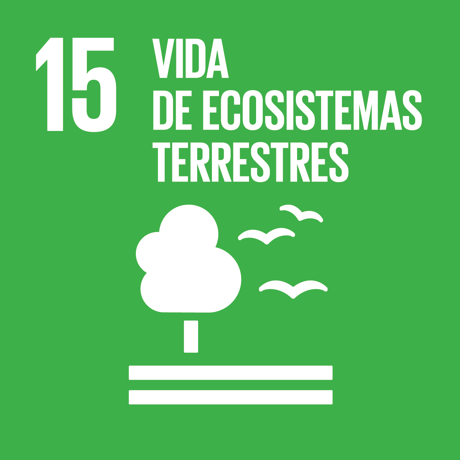 Imagen de la noticia: Diputación y UPA firman un convenio con siete cursos para el campo cordobés