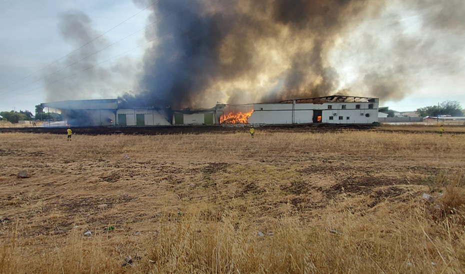 Imagen de la noticia: Un incendio en una nave abandonada de Palma del Río obliga a cerrar puertas y ventanas
