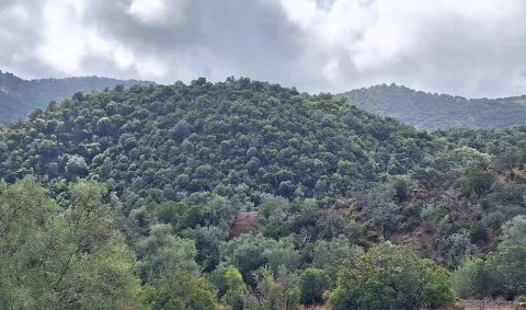 Imagen de la noticia: El Parque Natural Sierra de Hornachuelos abre una sala sobre los cielos de Sierra Morena