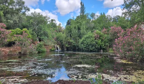 Imagen de la noticia: El Parque Natural Sierra de Hornachuelos abre una sala sobre los cielos de Sierra Morena