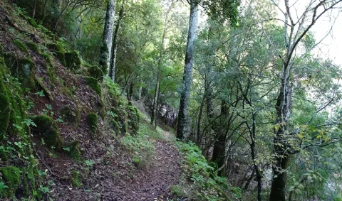 Imagen de la noticia: El Parque Natural Sierra de Hornachuelos abre una sala sobre los cielos de Sierra Morena