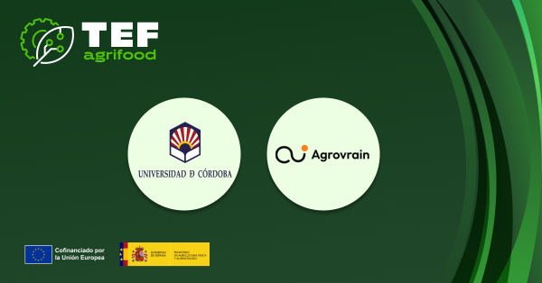Imagen de la noticia: La UCO validará Agrovrain, una plataforma de inteligencia artificial agroalimentaria