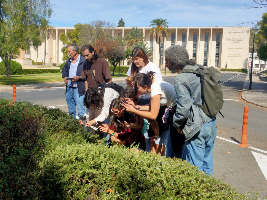 Imagen de la noticia: Ocho voluntarios contarán mariposas en el Campus de Rabanales durante todo el curso