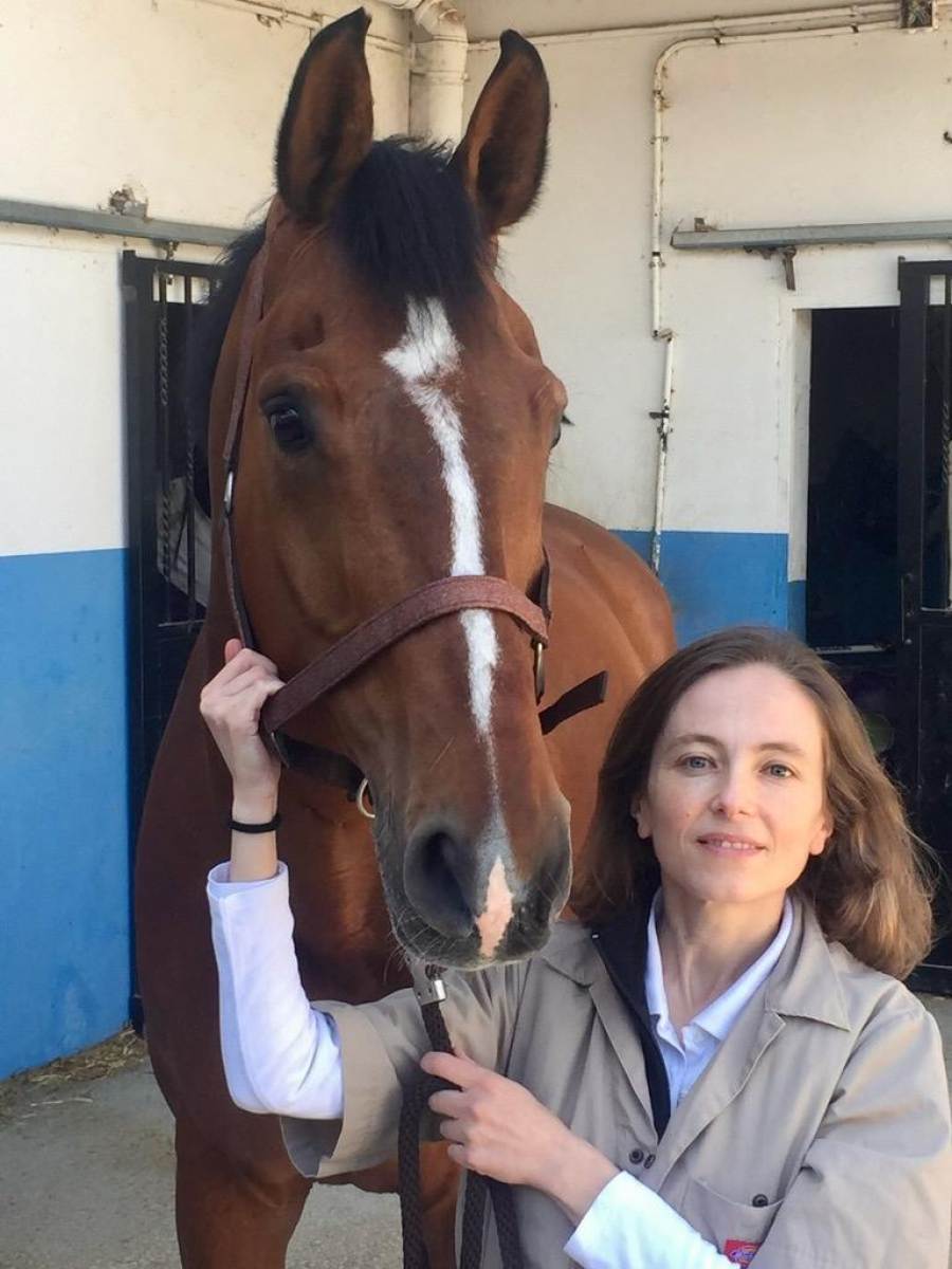 Imagen de la noticia: Un estudio de la UCO sienta las bases para diagnosticar el dolor muscular en caballos