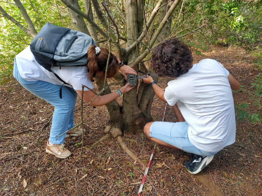 Imagen de la noticia: Vuelven las cámaras de fototrampeo para retratar la fauna de los campus de la UCO