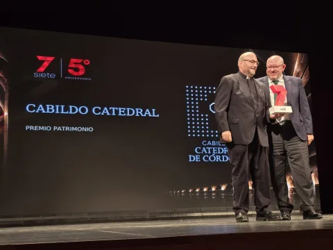 Imagen de la noticia: El Cabildo Catedral recibe el premio 'Los Siete de la VI' de 7TV