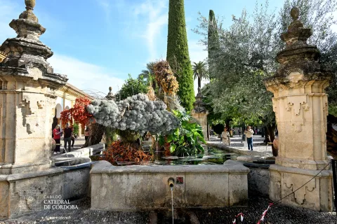 Imagen de la noticia: El Patio de los Naranjos acoge la instalación floral 'HALCYON' de PARKSOHEE en FLORA 2026