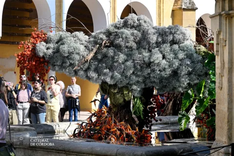 Imagen de la noticia: El Patio de los Naranjos acoge la instalación floral 'HALCYON' de PARKSOHEE en FLORA 2026