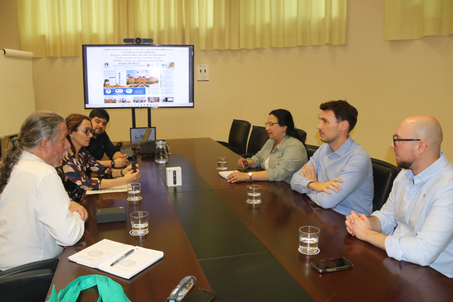 Imagen de la noticia: La Universidad de Córdoba y Chile colaboran en un sistema para controlar la calidad del pellet de madera