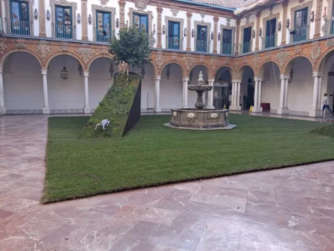 Imagen de la noticia: Usuarios de Acpacys visitan la exposición del Festival Flora en el Palacio de la Merced