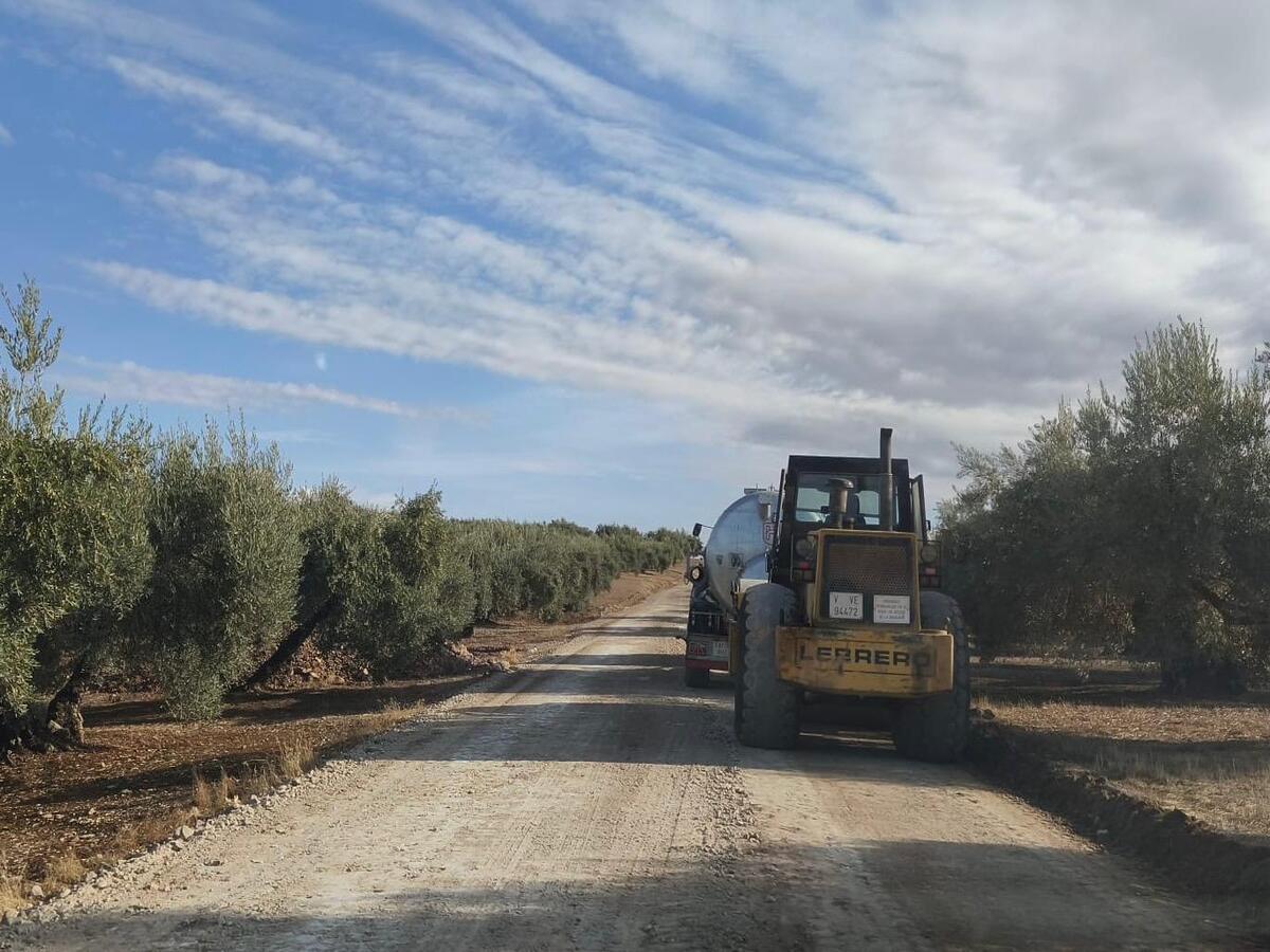 Image for the story: Baena prepares 35 kilometres of rural roads before the olive campaign