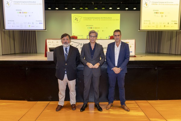 Imagen de la noticia: Córdoba reúne desde este martes el II Congreso Ibérico de Olivicultura en el Palacio de la Merced