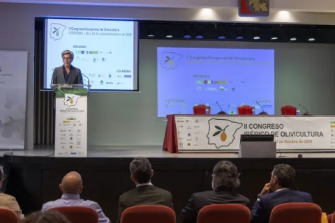 Imagen de la noticia: Córdoba reúne desde este martes el II Congreso Ibérico de Olivicultura en el Palacio de la Merced