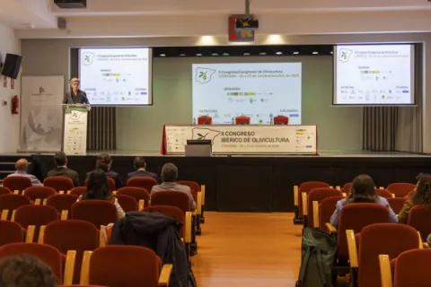 Imagen de la noticia: Córdoba reúne desde este martes el II Congreso Ibérico de Olivicultura en el Palacio de la Merced