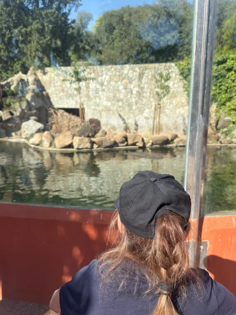 Imagen de la noticia: ASPAYM y FEPAMIC visitan el Centro de Conservación Zoo de Córdoba