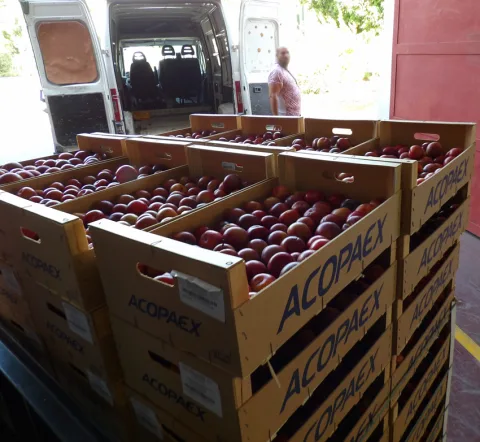 Imagen de la noticia: El Banco de Alimentos de Córdoba supera el millón de kilos recogidos en 2026