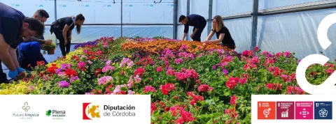 Imagen de la noticia: Una ayuda de la Diputación da empleo a una mujer con discapacidad intelectual