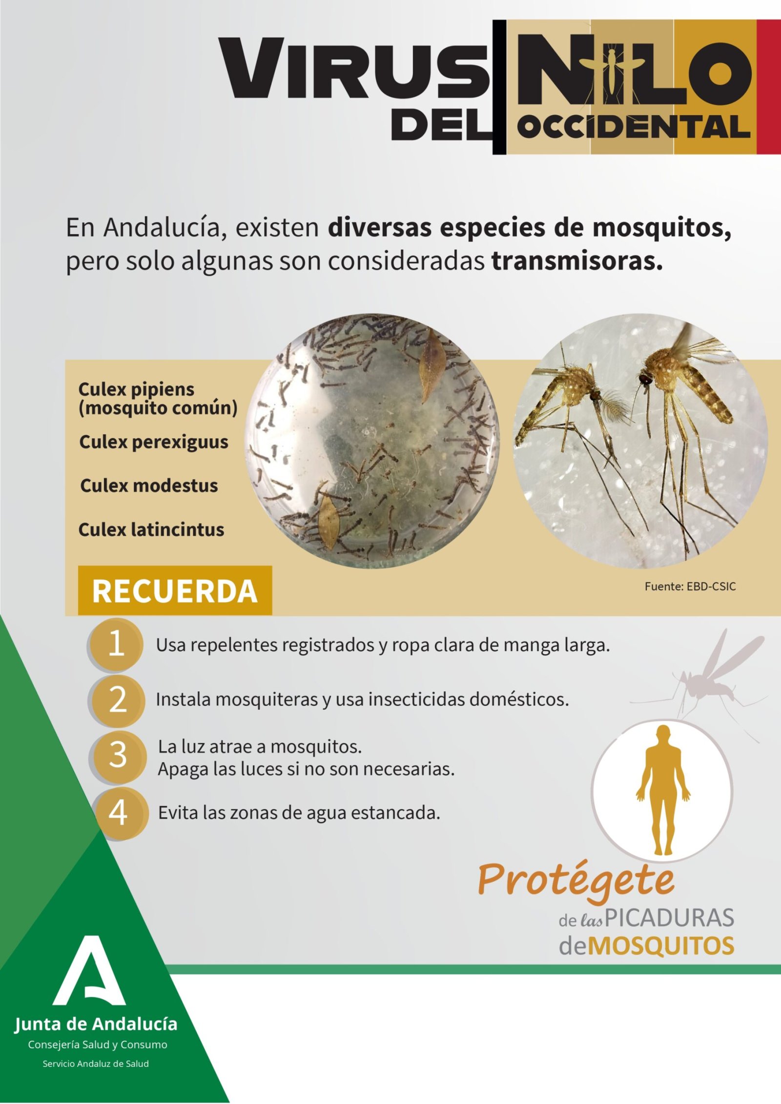 Cartel informativo sobre el virus del Nilo Occidental con fotos de mosquitos, una lista de especies y cuatro consejos de prevención.