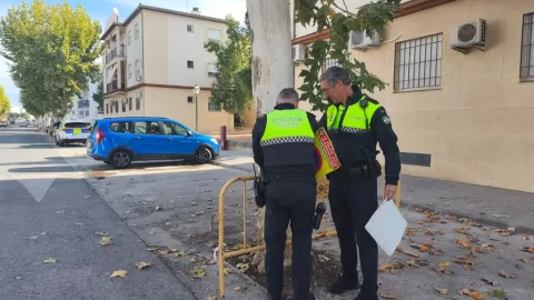 Imagen de la noticia: Cortes de aparcamiento en la avenida de los Lirios por la poda del arbolado