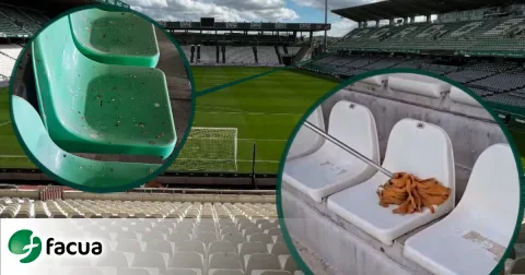 Gradas de un estadio de fútbol con asientos verdes y blancos, algunos con suciedad, y un paño sobre una butaca.
