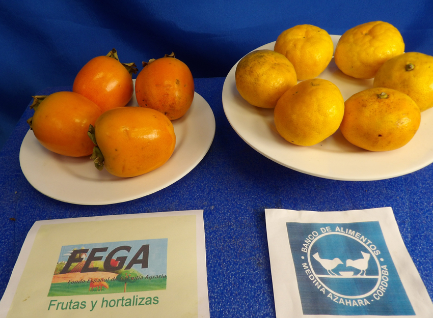 Dos platos blancos con caquis naranjas y limones sobre fondo azul, con dos carteles impresos de entidades agrarias y del Banco de Alimentos.